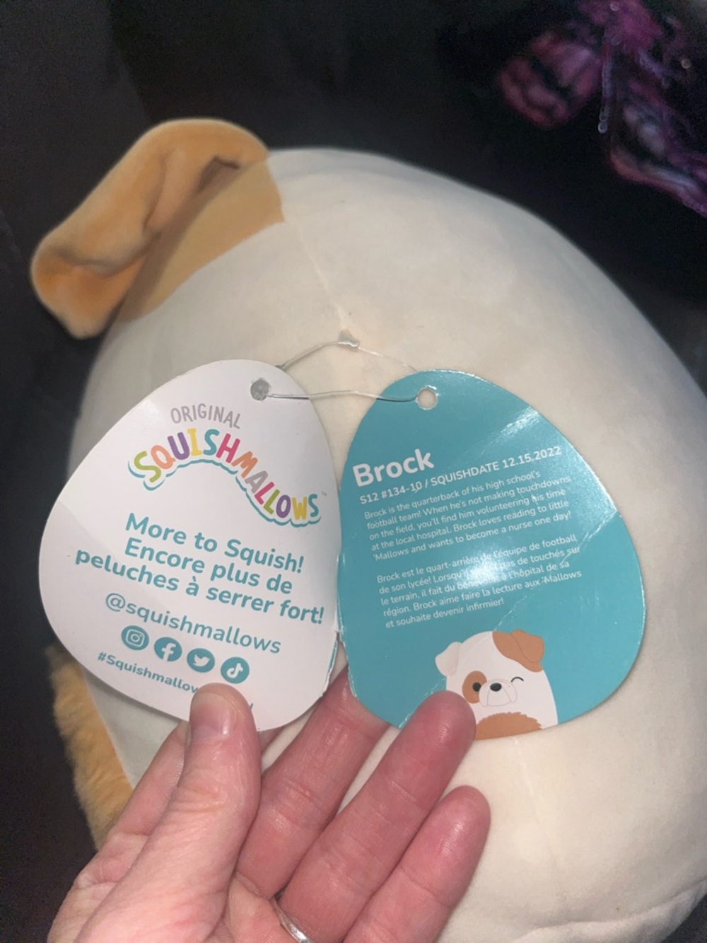 Squishmallows Cream & Tan Dog Plush Cushion - Picture 5 of 9